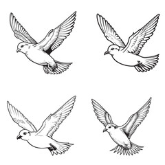High-Quality Cute Cartoonic Petrel Flying Pose Outline Vector Illustrations