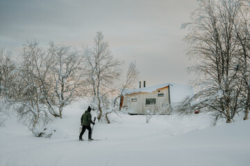 Lapland in the snow, landscapes of pristine snow topped trees and magical golden light in the artic circle. High res photography 