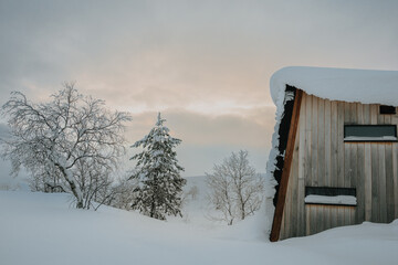 Lapland in the snow, landscapes of pristine snow topped trees and magical golden light in the artic circle. High res photography 