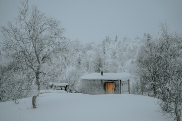 Lapland in the snow, landscapes of pristine snow topped trees and magical golden light in the artic circle. High res photography 