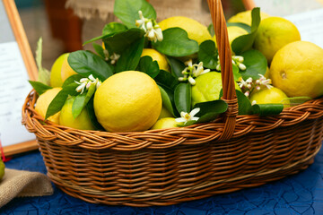 Fresh lemons in the basket