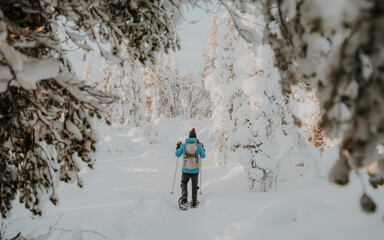 Lapland in the snow 
Beautiful landscape snow