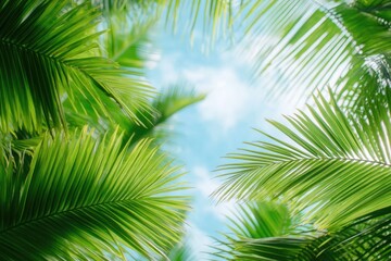 Lush palm leaves frame bright sky, creating serene tropical atmo