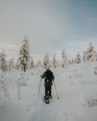 Lapland in the snow 
Beautiful landscape snow
