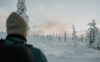 Lapland in the snow 
Beautiful landscape snow