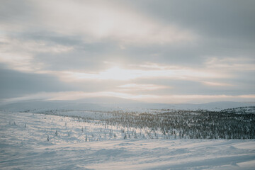 Lapland in the snow 
Beautiful landscape snow