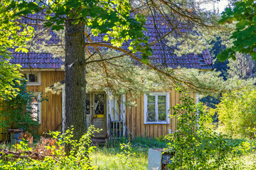 Old wooden cottage in a overgrown garden in the country © Lars Johansson