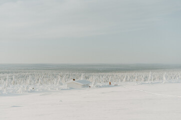 Lapland in the snow 
Beautiful landscape snow