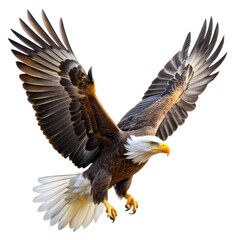 Fototapeta premium Majestic Bald Eagle in Flight Powerful Wings Spread Wide American Symbol Freedom Wildlife 