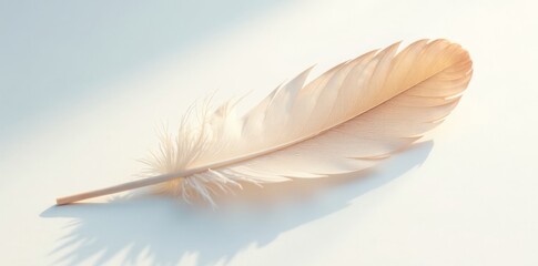 Naklejka premium Delicate feather rests on smooth white, subtle shadow, organic, minimal