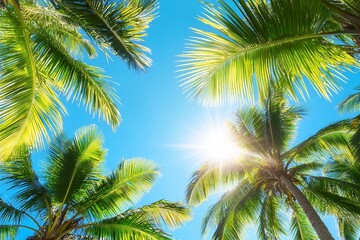 Fototapeta premium Green palm tree branches blue sky background, bright shiny sun rays, palm leaves, sunlight glow, beautiful nature, sea beach landscape, summer holidays