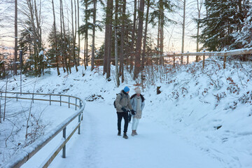Fototapeta premium Family walking through a snowy forest in winter, with a man, woman, and boy enjoying the scenic landscape, capturing a candid moment in high-resolution photography.