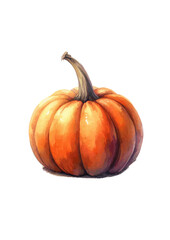 pumpkin isolated on white background