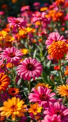 Fototapeta premium High-Resolution Vibrant Flower Wallpaper with Soft Petals and Elegant Bloom for Stunning Mobile Screen Background