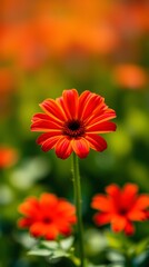 High-Resolution Vibrant Flower Wallpaper with Soft Petals and Elegant Bloom for Stunning Mobile Screen Background