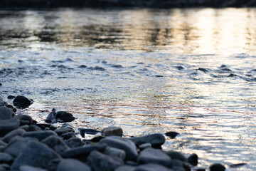 River with stones.  nature landscapes and serene outdoor scenes.