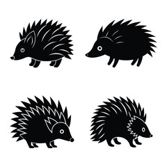 porcupine shape with cartoon style vector.