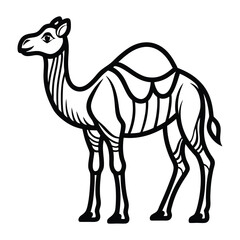 camel vector illustration