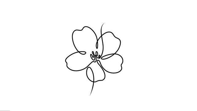 Animated single cherry flower elegance continuous line drawing motion. 