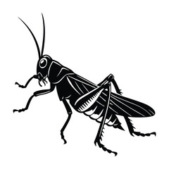 grasshopper silhouette illustration on white background.