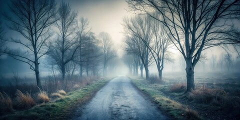Obraz premium Moody landscape with dark simple gray background, misty trees and abandoned path, moody, trees, moody, trees, serene