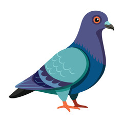 pigeon vector illustration 