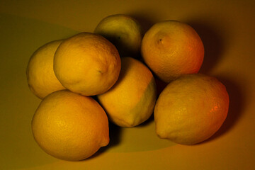 juicy lemon fruits collected from an evergreen lemon tree