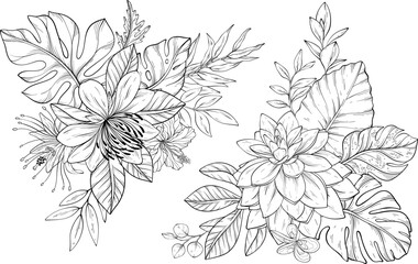 Fototapeta premium Vector set of line art tropical flowers arranged with leaves for a lively composition