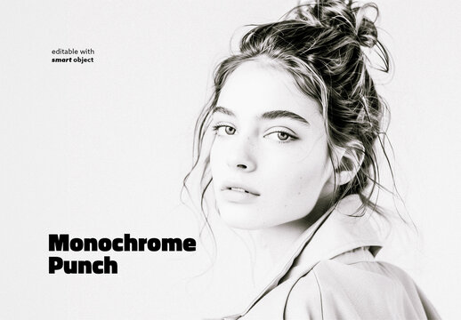 Monochrome Punch Photo Effect