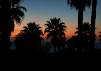 Silhouette of palm trees against a vibrant sunset sky
