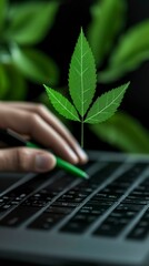 Eco Friendly Technology Sustainable Leaf Hovering Over a Laptop Keyboard with Green Pen Use