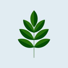 A Flat-Style Fresh green leaf on a Plain White Background