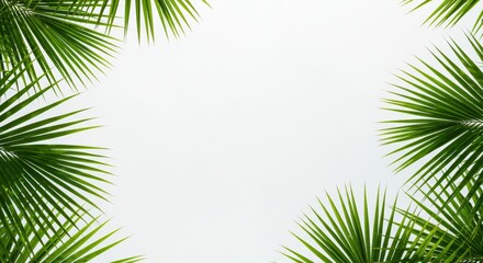 Fototapeta premium Minimalist Green Palm Leaves with Soft Shadows and White Space