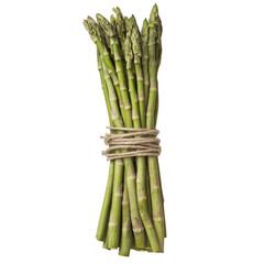 Bundle of fresh asparagus spears neatly tied, vibrant green vegetable, isolated on a white background 