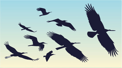 Obraz premium Birds silhouettes collection