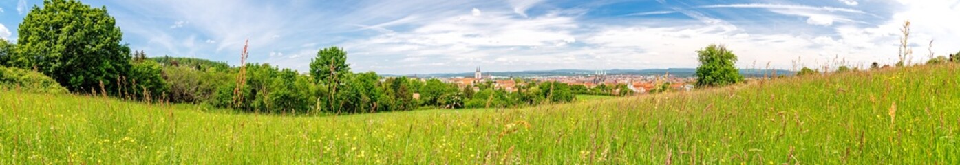 Fototapeta premium View on the city of Bamberg in Franconia from summer meadows on the Altenburg hill, Bavaria, Germany