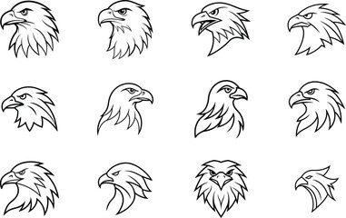 Twelve Eagle Head Variations Line Art, Bird Designs, Vector Graphics