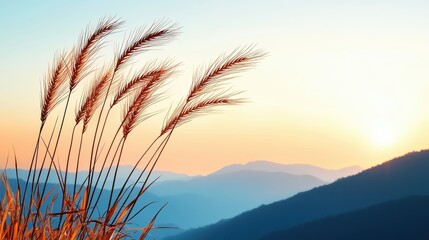 Beautiful Sunset Landscape with Grasses on Mountains and a Clear Sky in Soft Pastel Colors