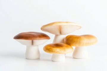 Fototapeta premium Natural mushrooms showcase diverse shapes and colors on clean su