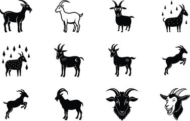 Twelve Goat Illustrations Black, White, Celestial, Rain, Zodiac