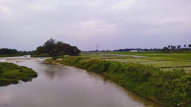 Beautiful landscape with river water and pady fied.  Clicked at Veerapandi river, Theni, Tamil Nadu, India