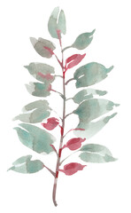Watercolor branch with green leaves and red berries.