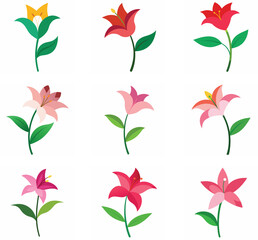 Obraz premium A Lily flower with leaf on a white background on a bundle vector illustration.