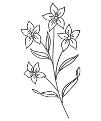 tiny wild flowers and plants line art botanical illustrations. Trendy greenery hand draw lines black ink sketches. vector illustration
