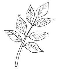 tiny wild flowers and plants line art botanical illustrations. Trendy greenery hand draw lines black ink sketches. vector illustration