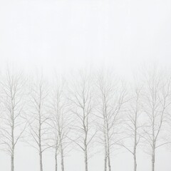Silent winter landscape with bare trees under gray sky