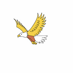 Golden Eagle in Flight: Vector Illustration - Orange, Yellow, White.