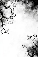 Obraz premium Branches reaching towards a cloudy sky in black and white