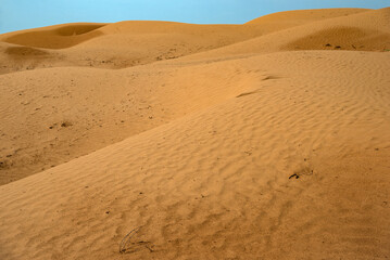 Endless sands of semi-desert. Republic of Kalmykia, Russia