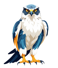 Fototapeta premium Falcon Vector Art with Vibrant Colour Illustration